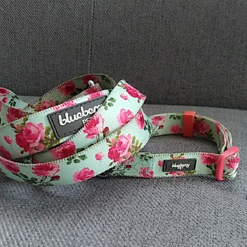 Dog Collar and Leash by Blueberry Pet